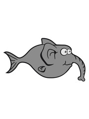 elephant trunk-thick fish funny comic