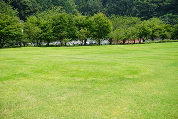 Obraz premium 草原