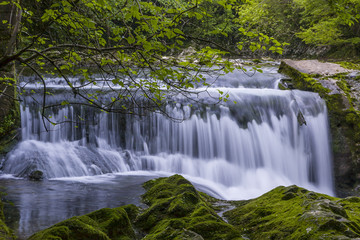 waterfall in the gorge Chernigovka