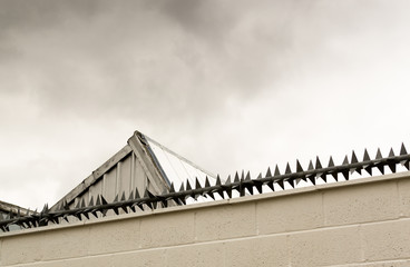 Anti-Intruder Spikes