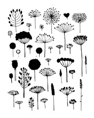 Floral collection, sketch fro your design