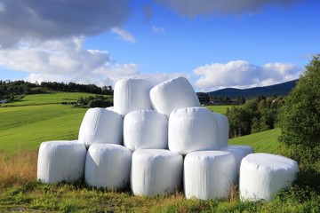 Hay bales in Norway
