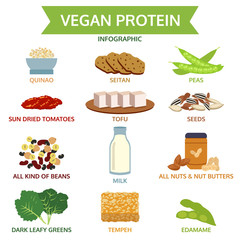 vegan protein info graphic, icon food vector illustration - 91496538