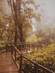 Doi Inthanon Chiangemai Thailand