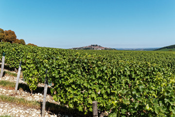 Vue sur Sancerre