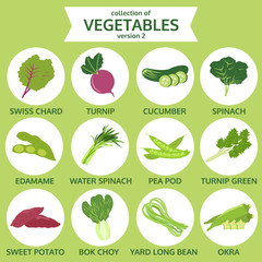 collection of vegetables, food vector illustration, icon set two - 91496931