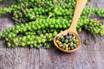 Fresh green pepper seeds