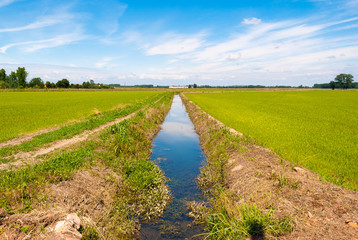 Canal for the irrigation in cultivated fields