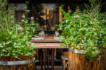 Fototapeta na wymiar Street cafe with plant and floral decoration horizontal