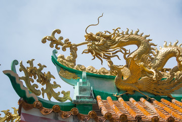 Fototapeta na wymiar Dragon on roof