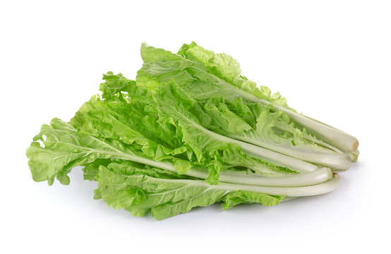 lettuce leaves in the basket isolated on white background