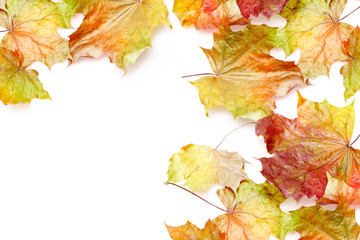 Naklejka na ściany i meble border frame of colorful autumn leaves on white background