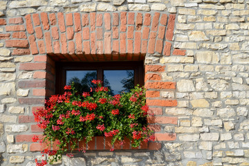 Fototapeta na wymiar Window with geraniums
