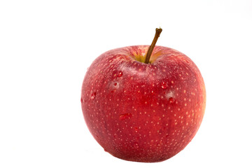 Erntezeit - der saftige Apfel