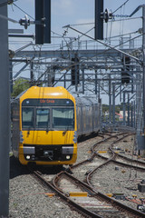 Obraz premium SYDNEY,AUSTRALIA : A 'Waratah' train approaches Central Station with a local service.