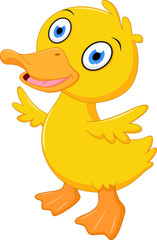 Little baby duck cartoon