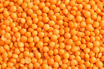 Red lentils
