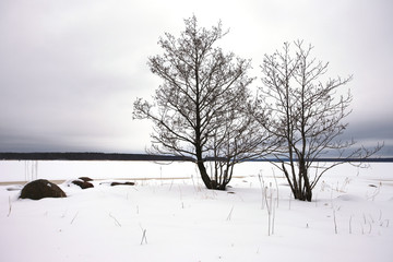 Fototapeta na wymiar Finsky gulf of the Baltic sea in winter