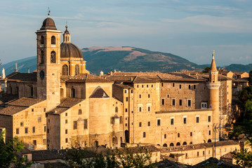 Fototapeta na wymiar Buildings in Urbino during the golden hour