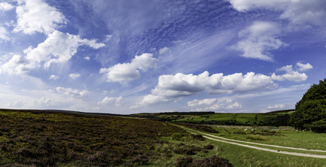 Yorkshire Moor