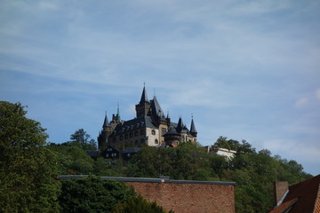 Fototapeta na wymiar Burg Werniger