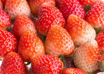 strawberry fresh fruits