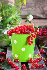 Fresh redcurrant in a bucket