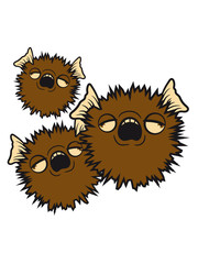 3 puffers Stachelfisch spines stupid team toxic