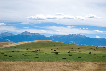 Fototapeta na wymiar Montana hay field