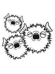 3 puffers Stachelfisch spines stupid team toxic