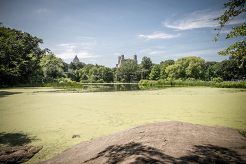 View on the Turtle Pond in Central park in New York