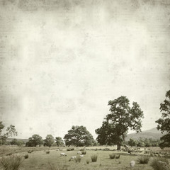textured old paper background