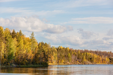 forest lake in autumn