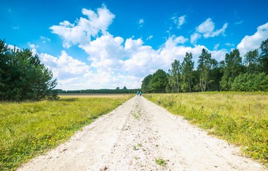 Country rural sandy road near fields