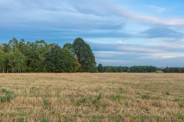 Obraz premium Beautiful after harvest field.