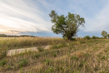 Obraz premium Beautiful after harvest field.