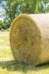 Bales of straw