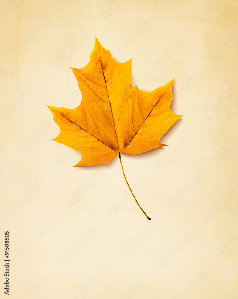 Poster autumn background with yellow leaf. vector.