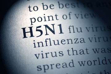 Obraz premium H5N1 flu