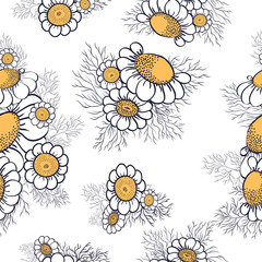 daisy vector background