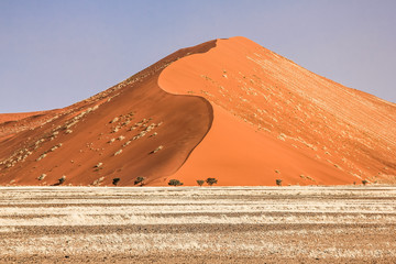 Dune desert
