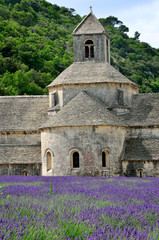 Abbey of Senanque