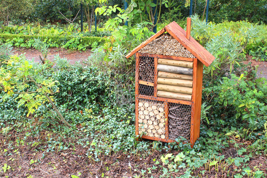 Familist&egrave;re de Guise (France) / H&ocirc;tel &agrave; insectes