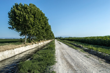 Fototapeta na wymiar Camino de Balaguer
