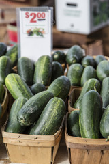 Michigan Cucumbers 
