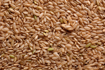 riso integrale biologico