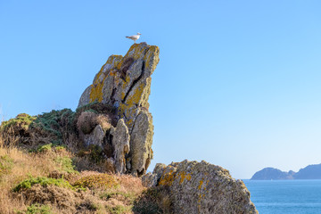 ocean landscape view from the shore