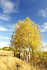 Fototapeta premium Autumn landscape