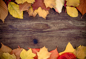 Naklejka na ściany i meble Old wooden board with autumn leaves