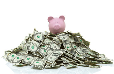 piggy bank on a pile of cash